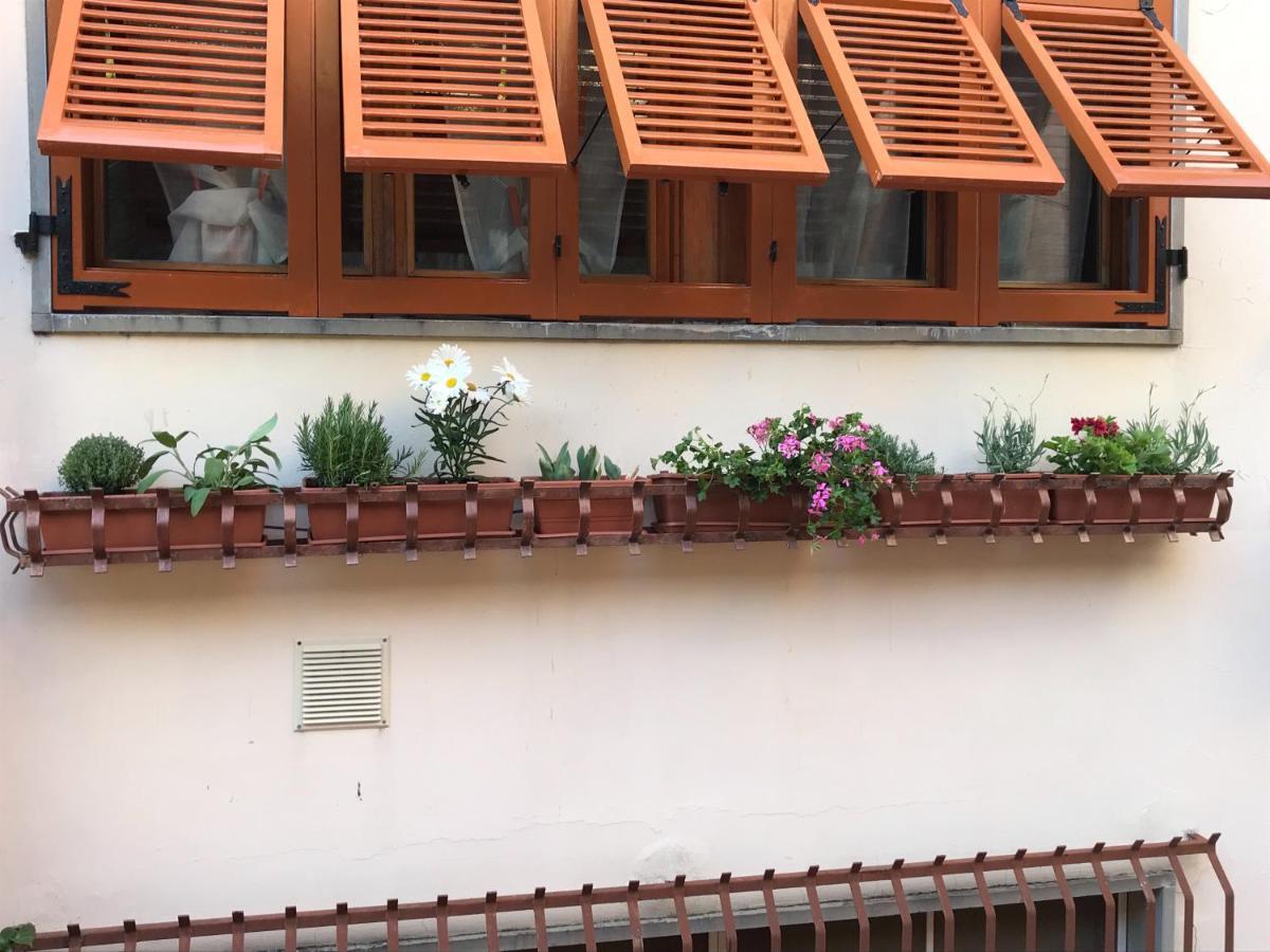 Apartmán La Casa Fra Gli Ulivi Lerici Exteriér fotografie