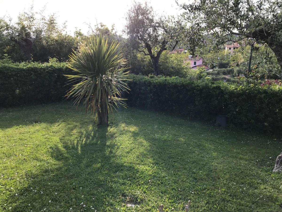 Apartmán La Casa Fra Gli Ulivi Lerici Exteriér fotografie